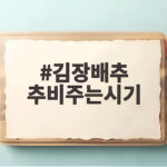 김장배추 추비 시기 15일 간격 핵심 관리법 김장배추 추비주는시기