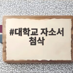 대학 자소서 첨삭 합격 전략 대학교 자소서 첨삭