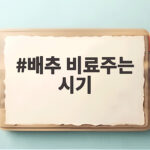 배추 비료주는 시기