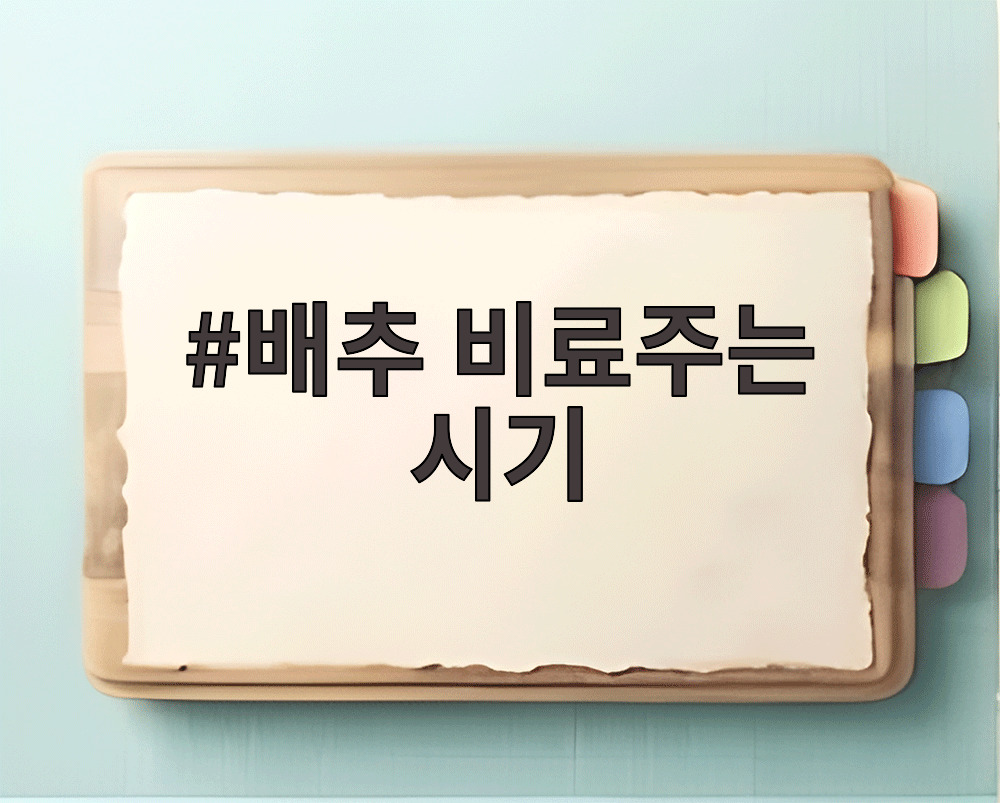 배추 비료주는 시기