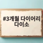 3개월 다이어리 다이소 추천 기록 3개월 다이어리 다이소