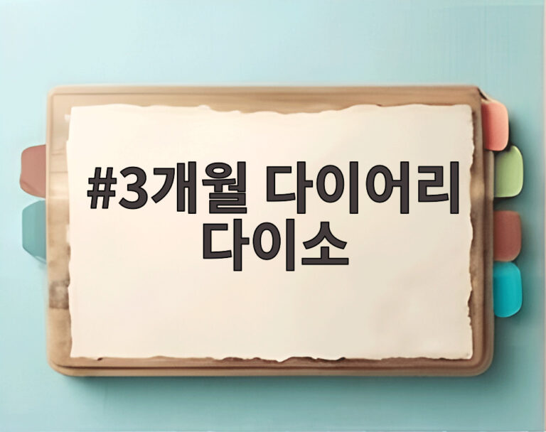 3개월 다이어리 다이소