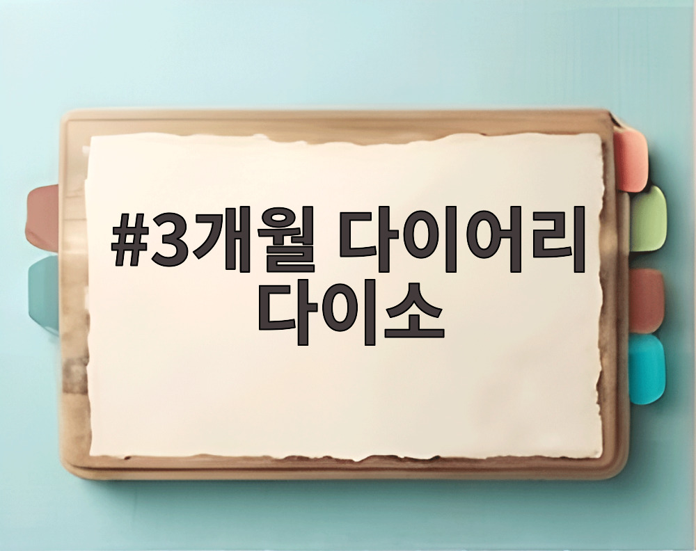 3개월 다이어리 다이소