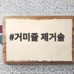 거미줄 제거솔
