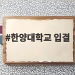 한양대학교 입결