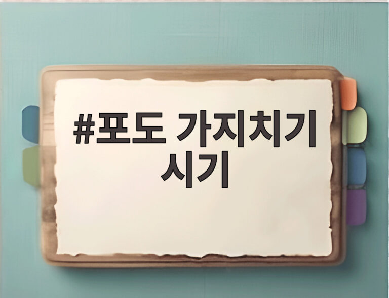 포도 가지치기 시기