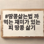 피땅콩 삶는 법 까 먹는 재미와 팁 땅콩삶는법 까 먹는 재미가 있는 피 땅콩 삶기