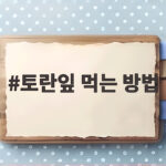 토란잎 먹는 방법 아린맛 없이 즐기기 토란잎 먹는 방법