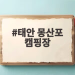 태안 몽산포 캠핑장 갯벌체험과 해루질 총정리 태안 몽산포 캠핑장