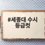 세종대 수시 등급컷