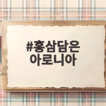 홍삼담은 아로니아 효능과 먹는 방법 홍삼담은 아로니아