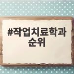 작업치료학과 순위의 진짜 기준 작업치료학과 순위