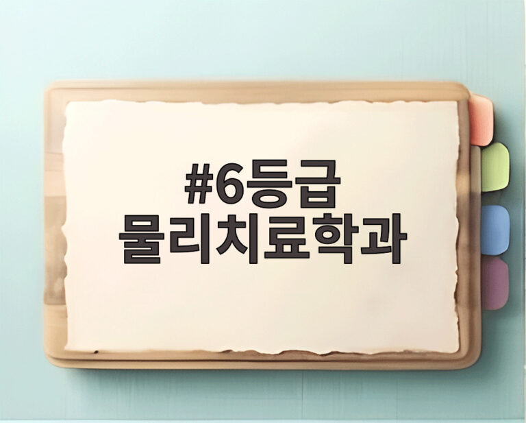 6등급 물리치료학과