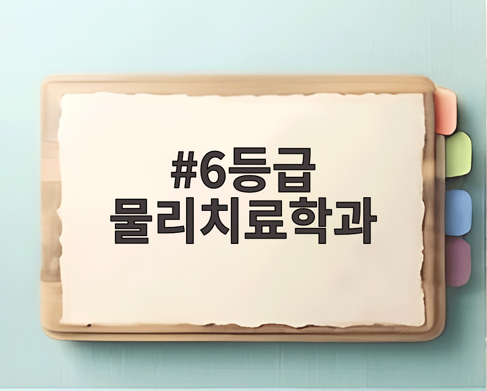 6등급 물리치료학과