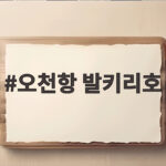 오천항 발키리호
