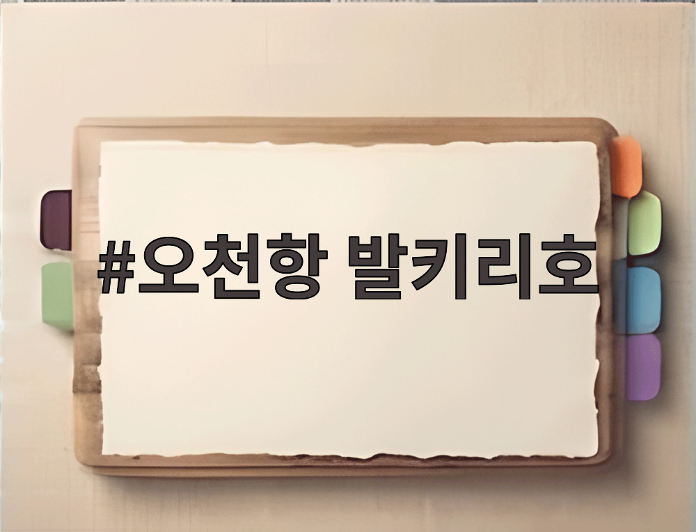 오천항 발키리호