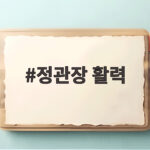 정관장 활력 에너지박스 하루 충전 정관장 활력