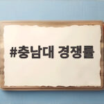 충남대 경쟁률