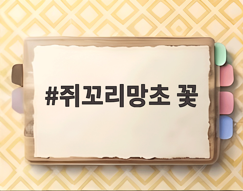 쥐꼬리망초 꽃