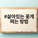 살아있는 꽃게 찌는 방법과 손질 시간 살아있는 꽃게 찌는 방법
