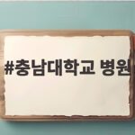 충남대학교 병원 진료 예약부터 입원까지 충남대학교 병원