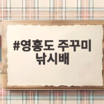 영흥도 주꾸미 낚시배 출조 준비와 예약 꿀팁 영흥도 주꾸미 낚시배