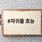 자귀풀 효능