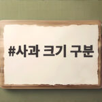 사과 크기 구분