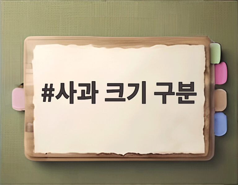 사과 크기 구분