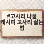 고사리 나물 레시피 고사리 삶는 법 부드럽게 고사리 나물 레시피 고사리 삶는 법