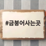 금붕어사는곳 알고 시작하는 오란다 키우기 금붕어사는곳