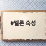 멜론 숙성 기간 확인하고 달콤하게 먹는 방법 멜론 숙성
