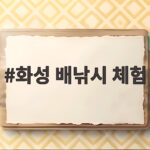 화성 배낚시 체험