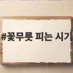 꽃무릇 피는 시기 절정 시기 확인법 꽃무릇 피는 시기