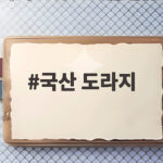 국산 도라지 원산지 확인 방법과 선택 국산 도라지