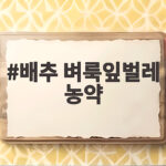 배추 벼룩잎벌레 농약 방제와 사용법 배추 벼룩잎벌레 농약