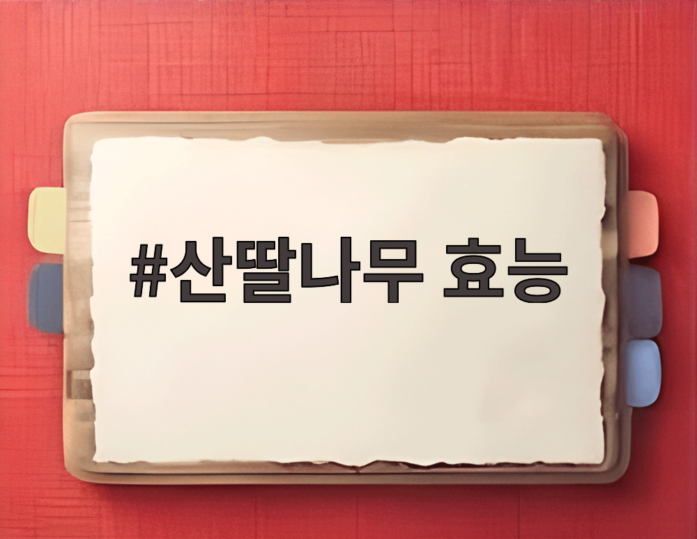 산딸나무 효능
