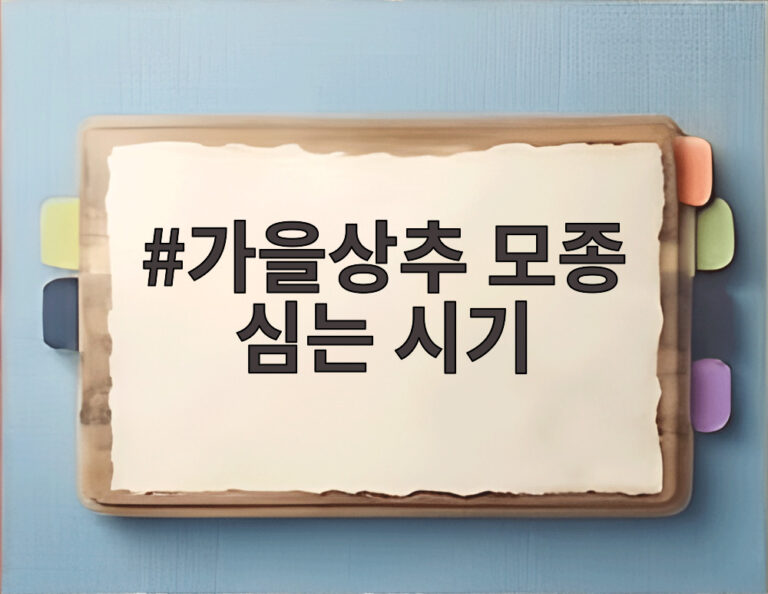 가을상추 모종 심는 시기