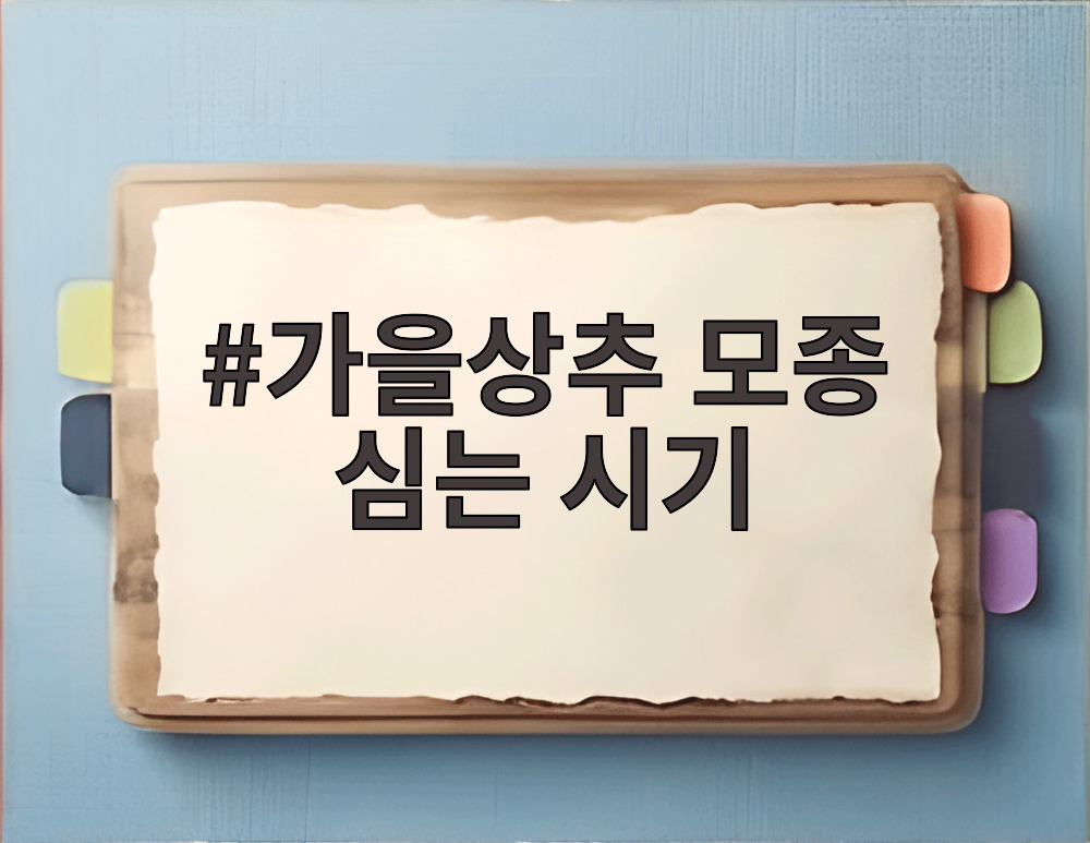 가을상추 모종 심는 시기