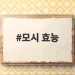 모시 효능 모시잎 영양과 먹는 법 총정리 모시 효능