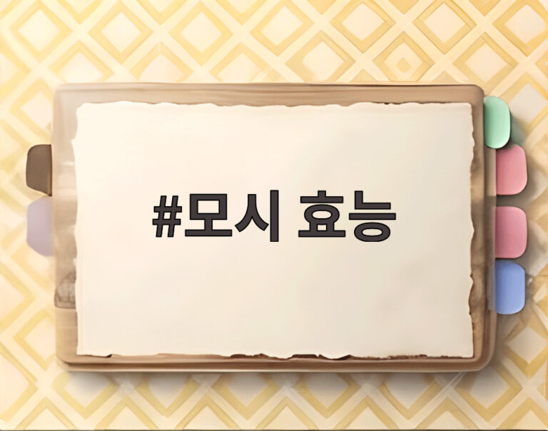 모시 효능