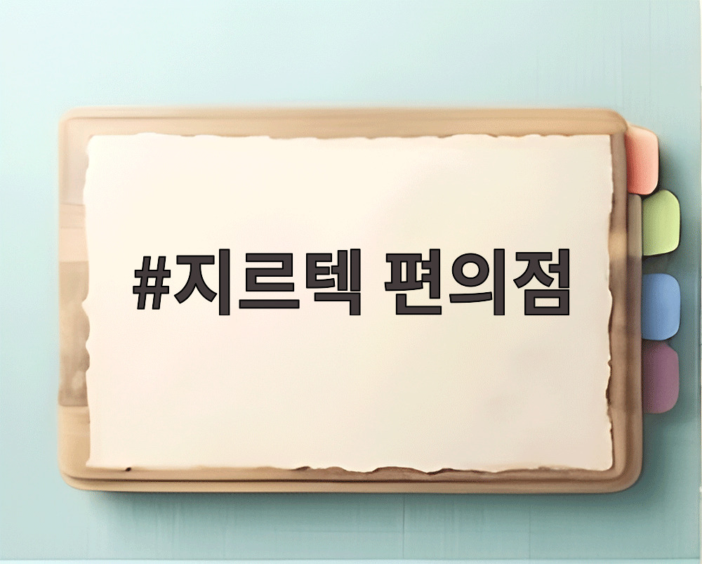 지르텍 편의점