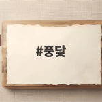 풍닻