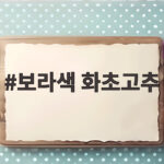 보라색 화초고추 키우기 색 변화 관찰 보라색 화초고추