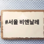 서울 비엔날레 2026 관람 일정 서울 비엔날레