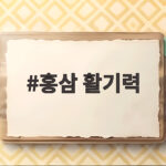 홍삼 활기력 선물부터 섭취법까지 홍삼 활기력
