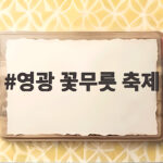 영광 꽃무릇 축제 개화시기 정보 영광 꽃무릇 축제