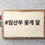 임산부 꽃게 알 영양과 주의사항 정리 임산부 꽃게 알