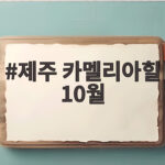 제주 카멜리아힐 10월 가을 산책 제주 카멜리아힐 10월