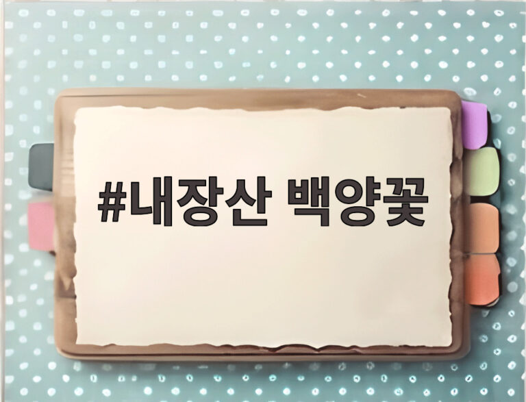 내장산 백양꽃